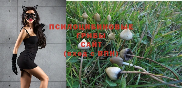 амфетамин Абинск