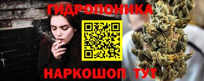скорость Канаш