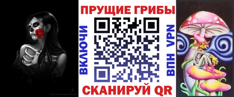KRAKEN ONION  сколько стоит  Ливны  Галлюциногенные грибы ЛСД 