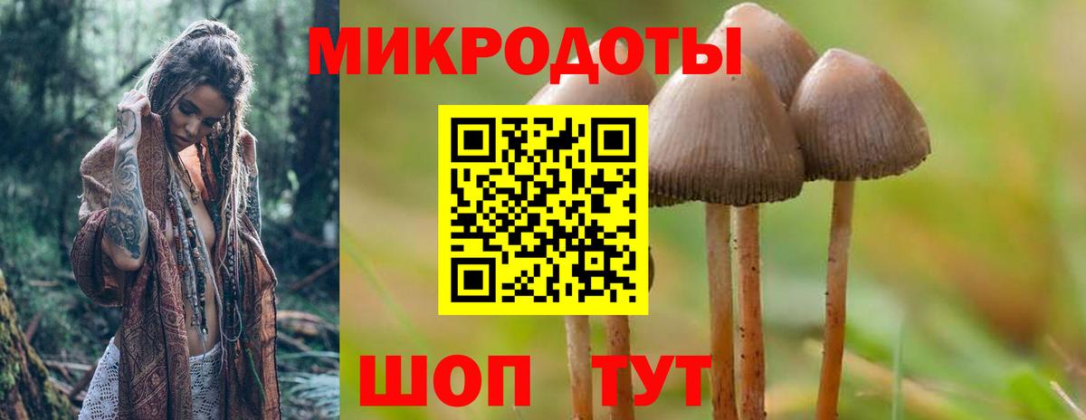 Псилоцибиновые грибы Cubensis  Вход с VPN  Псилоцибиновые грибы GOLDEN TEACHER  закладки  Ливны 